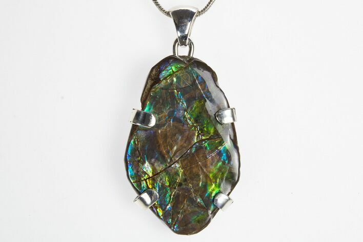 Brilliant Ammolite Pendant (Necklace) - Alberta, Canada #315401
